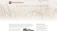 Desktop Screenshot of copperheadconsulting.com