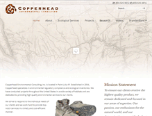 Tablet Screenshot of copperheadconsulting.com